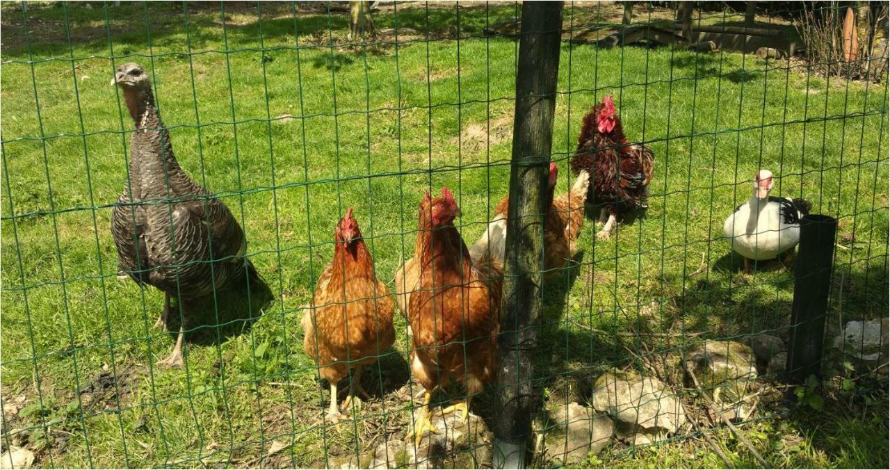La Maison Lierue Fretigny Zewnętrze zdjęcie